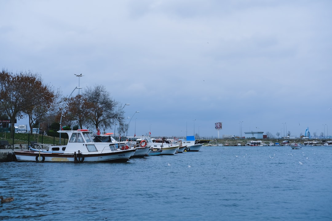 Photo Delta Dunării pe barca rapidă vs navigația lentă