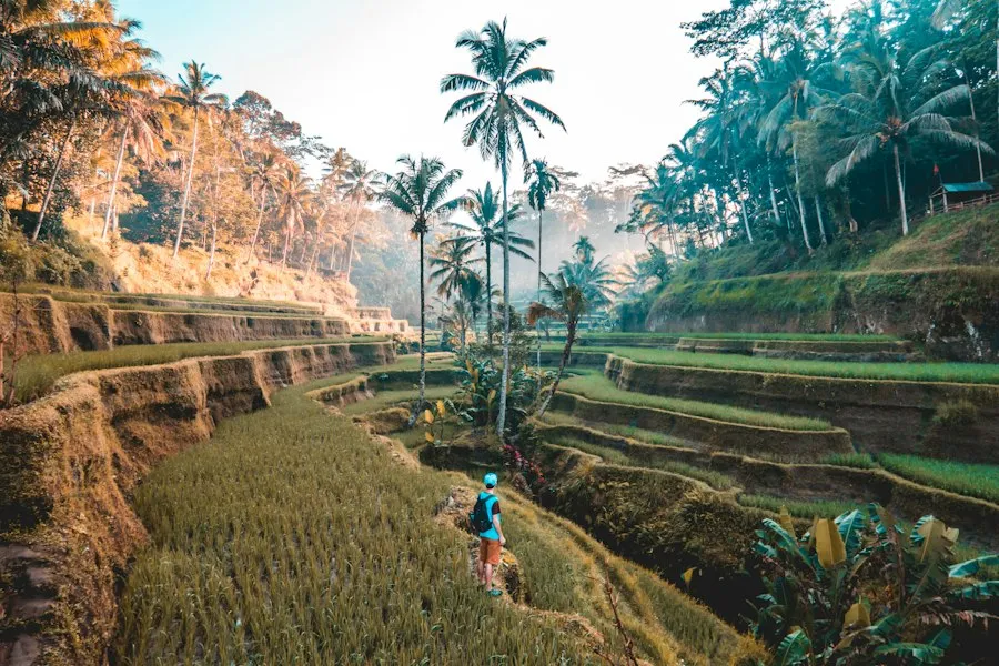 travel destinations guide